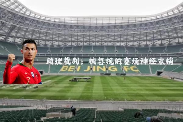 助理裁判:被忽视的赛场神经末梢